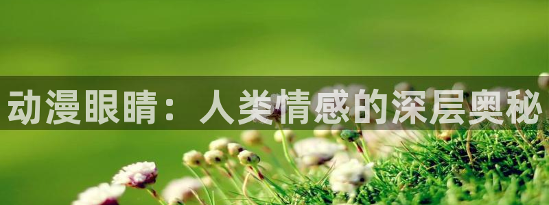 里番动漫有哪些：动漫眼睛：人类情感的深层奥秘