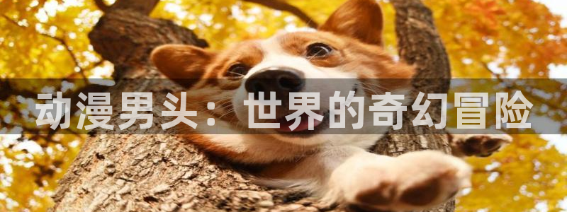 里番动漫总站：动漫男头：世界的奇幻冒险