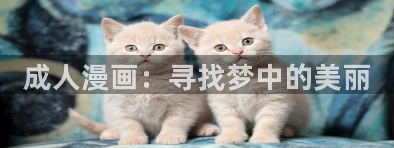 2024里番动漫：成人漫画：寻找梦中的美丽