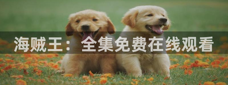 里番动漫免：海贼王：全集免费在线观看