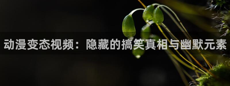 扶她里番动漫：动漫变态视频：隐藏的搞笑真相与幽默元素