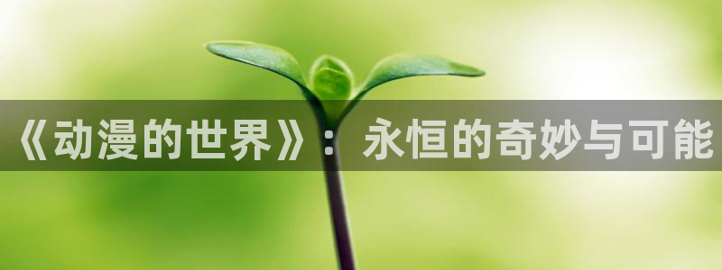 经典里番动漫推荐：《动漫的世界》：永恒的奇妙与可能